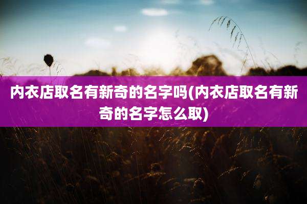 内衣店取名有新奇的名字吗(内衣店取名有新奇的名字怎么取)