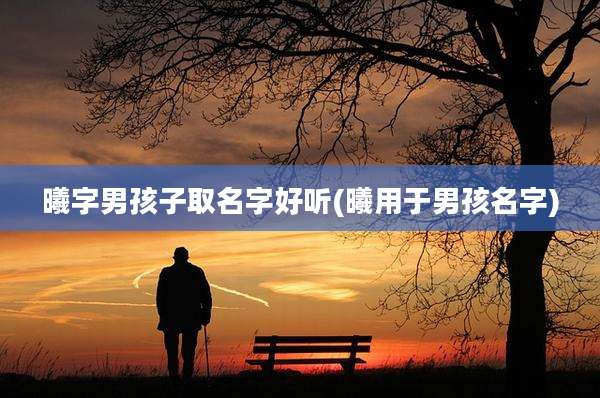 曦字男孩子取名字好听(曦用于男孩名字)