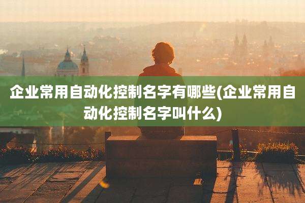 企业常用自动化控制名字有哪些(企业常用自动化控制名字叫什么)