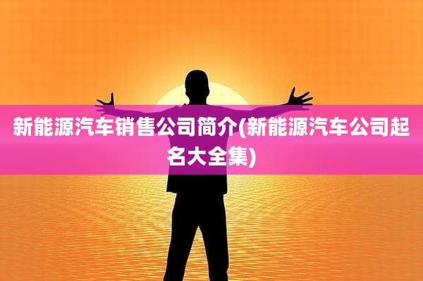 新能源汽车销售公司简介(新能源汽车公司起名大全集)