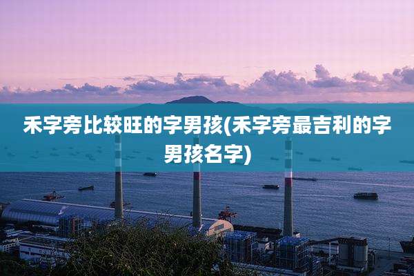 禾字旁比较旺的字男孩(禾字旁最吉利的字男孩名字)