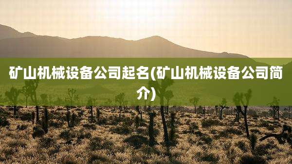 矿山机械设备公司起名(矿山机械设备公司简介)