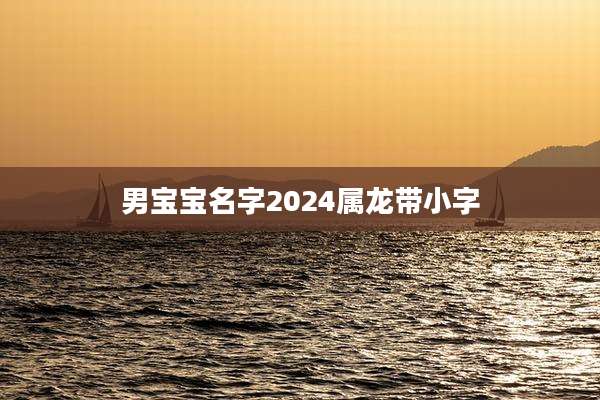 男宝宝名字2024属龙带小字