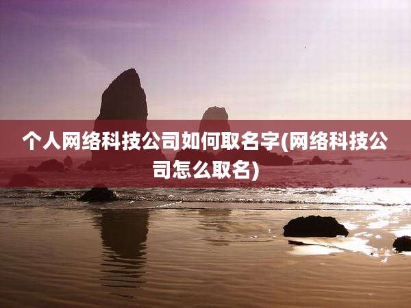 个人网络科技公司如何取名字(网络科技公司怎么取名)