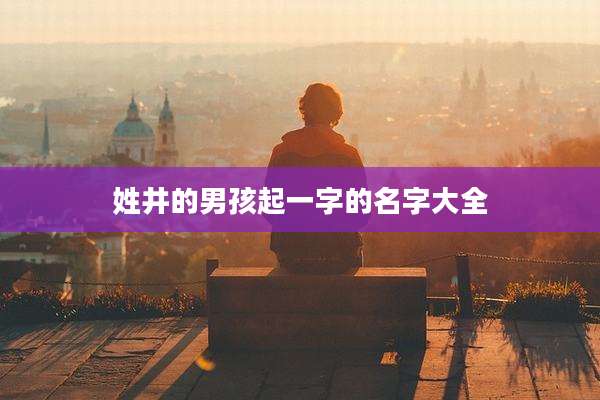 姓井的男孩起一字的名字大全