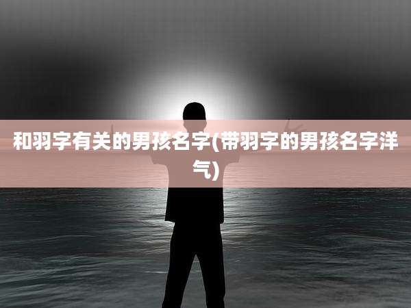 和羽字有关的男孩名字(带羽字的男孩名字洋气)