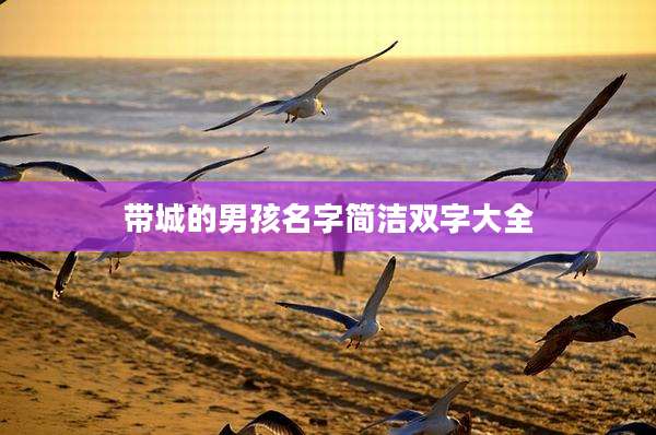带城的男孩名字简洁双字大全
