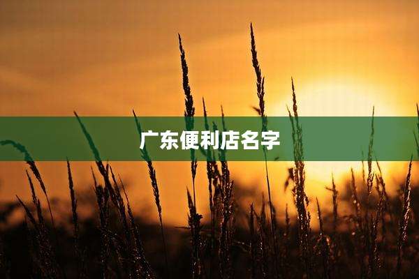 广东便利店名字