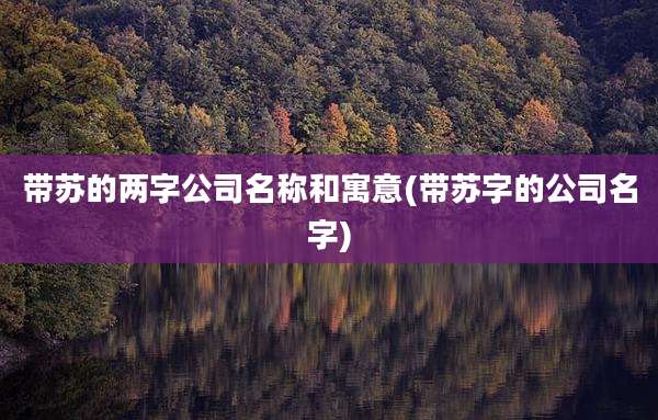 带苏的两字公司名称和寓意(带苏字的公司名字)