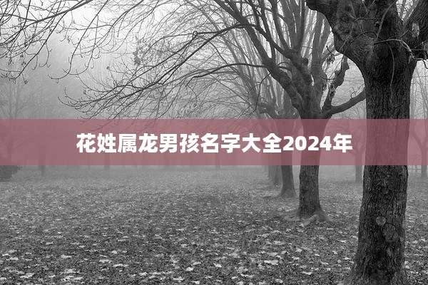 花姓属龙男孩名字大全2024年