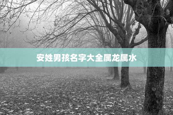 安姓男孩名字大全属龙属水