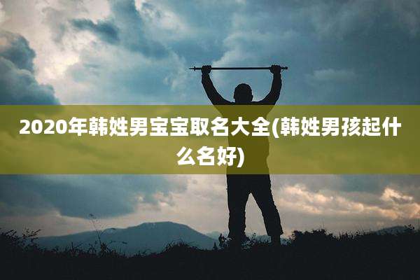 2020年韩姓男宝宝取名大全(韩姓男孩起什么名好)
