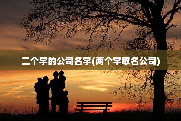 二个字的公司名字(两个字取名公司)