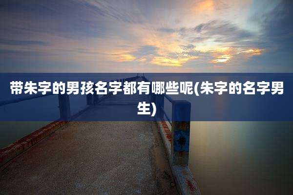 带朱字的男孩名字都有哪些呢(朱字的名字男生)
