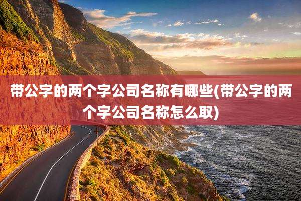 带公字的两个字公司名称有哪些(带公字的两个字公司名称怎么取)