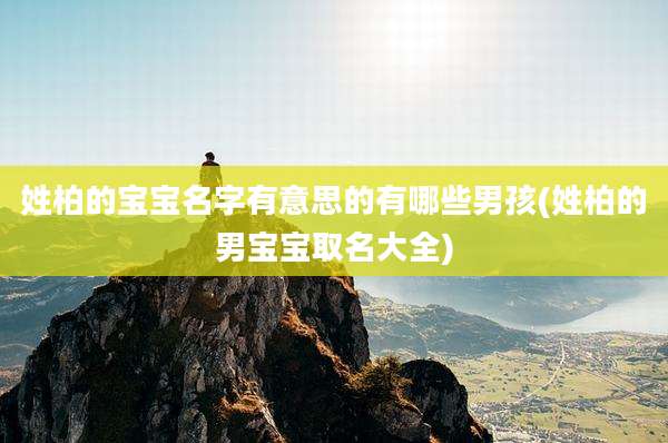 姓柏的宝宝名字有意思的有哪些男孩(姓柏的男宝宝取名大全)