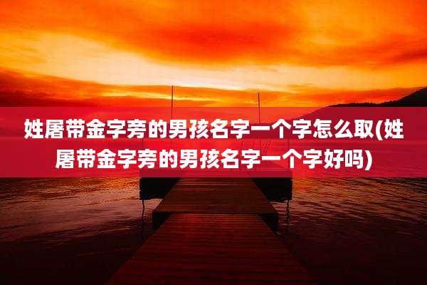 姓屠带金字旁的男孩名字一个字怎么取(姓屠带金字旁的男孩名字一个字好吗)