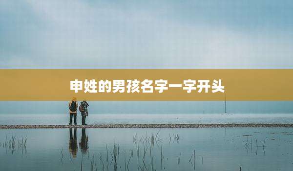 申姓的男孩名字一字开头