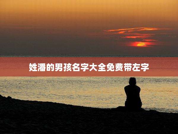 姓潘的男孩名字大全免费带左字