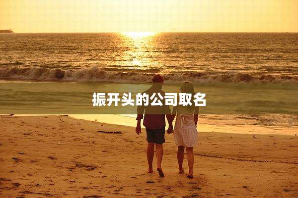 振开头的公司取名