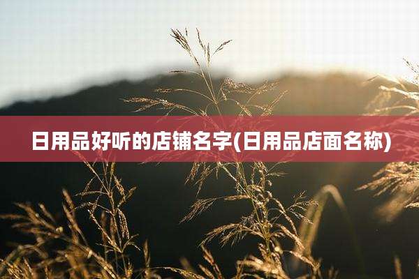 日用品好听的店铺名字(日用品店面名称)