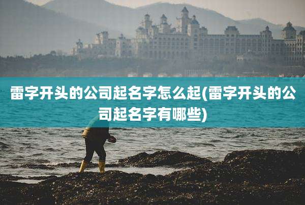 雷字开头的公司起名字怎么起(雷字开头的公司起名字有哪些)