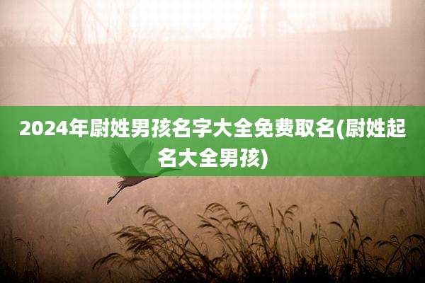 2024年尉姓男孩名字大全免费取名(尉姓起名大全男孩)