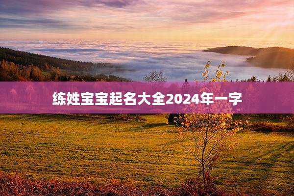 练姓宝宝起名大全2024年一字