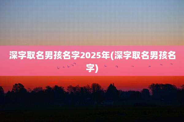 深字取名男孩名字2025年(深字取名男孩名字)