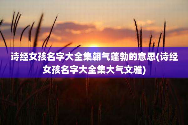 诗经女孩名字大全集朝气蓬勃的意思(诗经女孩名字大全集大气文雅)
