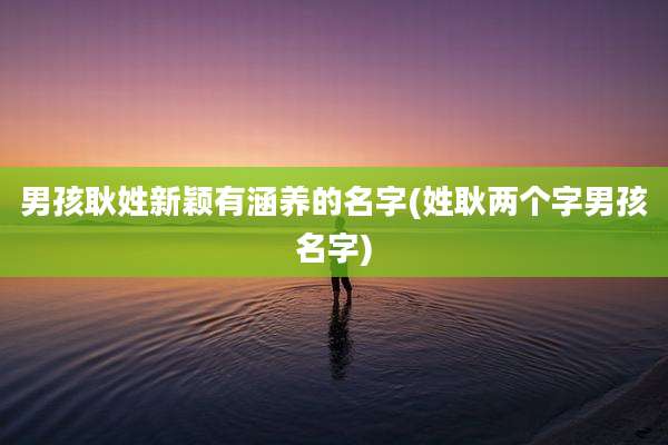 男孩耿姓新颖有涵养的名字(姓耿两个字男孩名字)