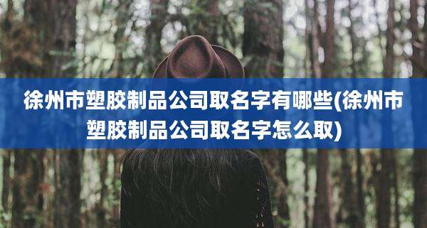 徐州市塑胶制品公司取名字有哪些(徐州市塑胶制品公司取名字怎么取)
