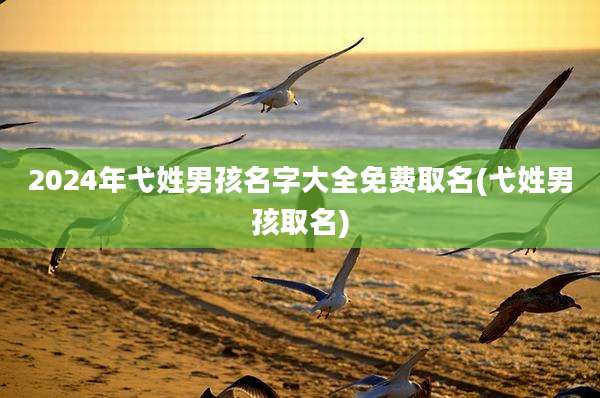 2024年弋姓男孩名字大全免费取名(弋姓男孩取名)
