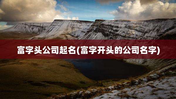富字头公司起名(富字开头的公司名字)