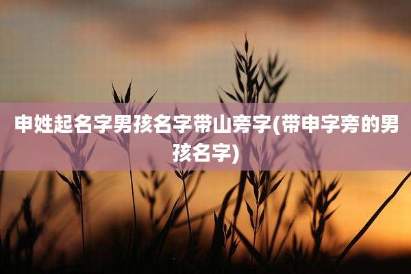 申姓起名字男孩名字带山旁字(带申字旁的男孩名字)