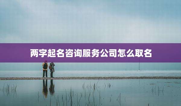 两字起名咨询服务公司怎么取名