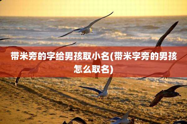 带米旁的字给男孩取小名(带米字旁的男孩怎么取名)