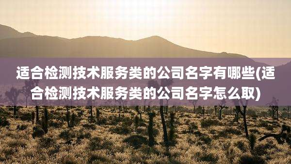 适合检测技术服务类的公司名字有哪些(适合检测技术服务类的公司名字怎么取)