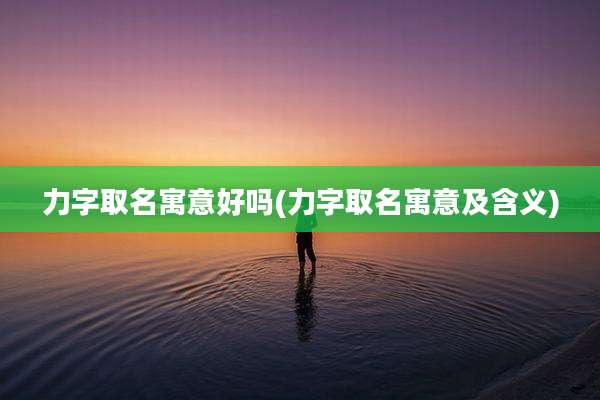 力字取名寓意好吗(力字取名寓意及含义)