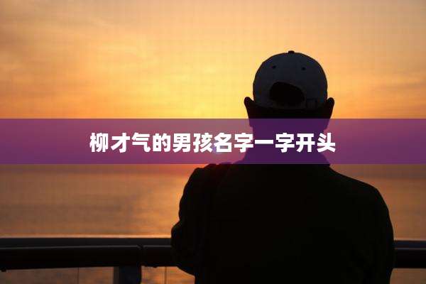 柳才气的男孩名字一字开头