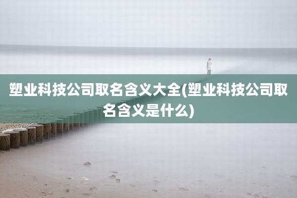 塑业科技公司取名含义大全(塑业科技公司取名含义是什么)