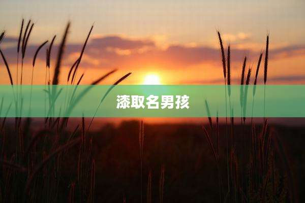 漆取名男孩