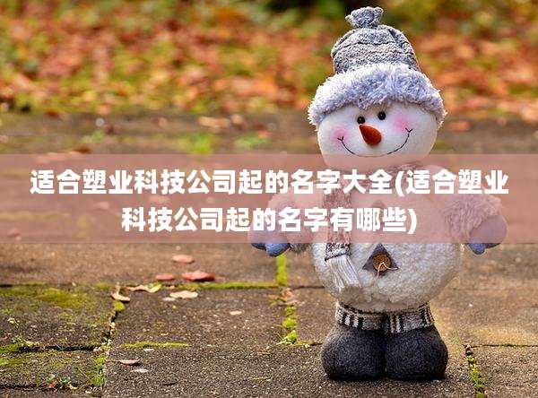适合塑业科技公司起的名字大全(适合塑业科技公司起的名字有哪些)