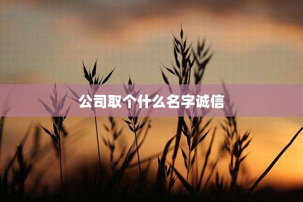 公司取个什么名字诚信