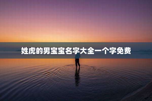 姓虎的男宝宝名字大全一个字免费