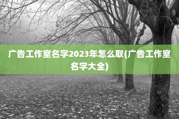 广告工作室名字2023年怎么取(广告工作室名字大全)