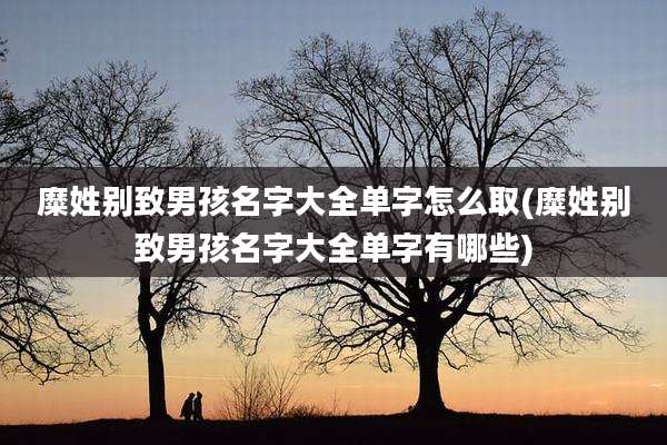 糜姓别致男孩名字大全单字怎么取(糜姓别致男孩名字大全单字有哪些)