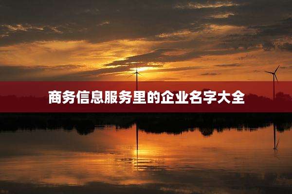 商务信息服务里的企业名字大全
