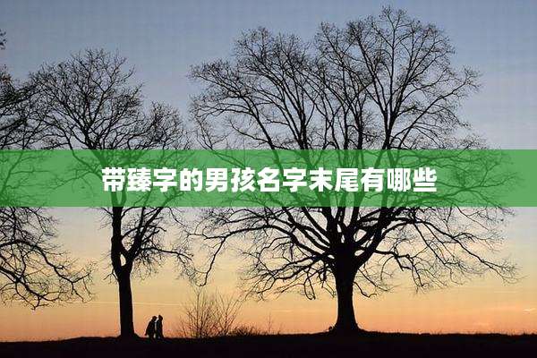 带臻字的男孩名字末尾有哪些