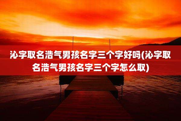 沁字取名浩气男孩名字三个字好吗(沁字取名浩气男孩名字三个字怎么取)